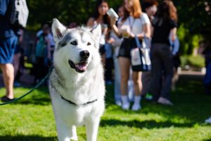 Student Life’s Puppy Playdate