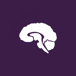 See a Real Human Brain Presented by Grey Matters Journal