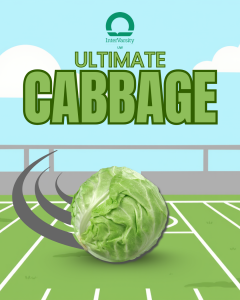 Ultimate Cabbage with InterVarsity Undergraduate Christian Fellowship