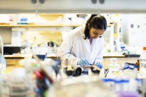 Career Exploration with the UW School of Pharmacy