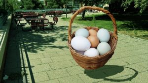 Egg Drop w/ the Undergraduate Physics Mentoring Program