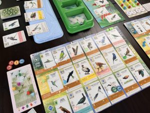 Game “Night” with Bird Club at UW