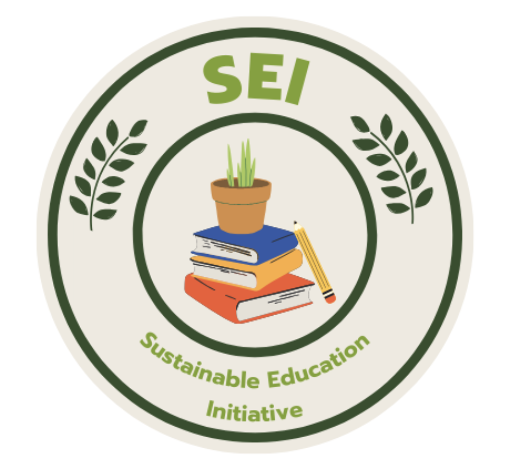 Rock Painting with SEI (Sustainable Education Initiative)