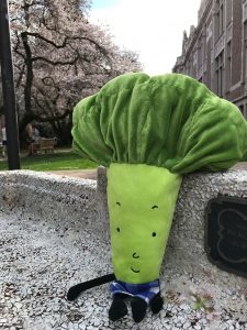 Edible Tree Tour with the Food Systems, Nutrition, and Health Major