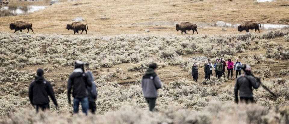 cropped-cropped-Yellowstone_Immersive-2092-resized